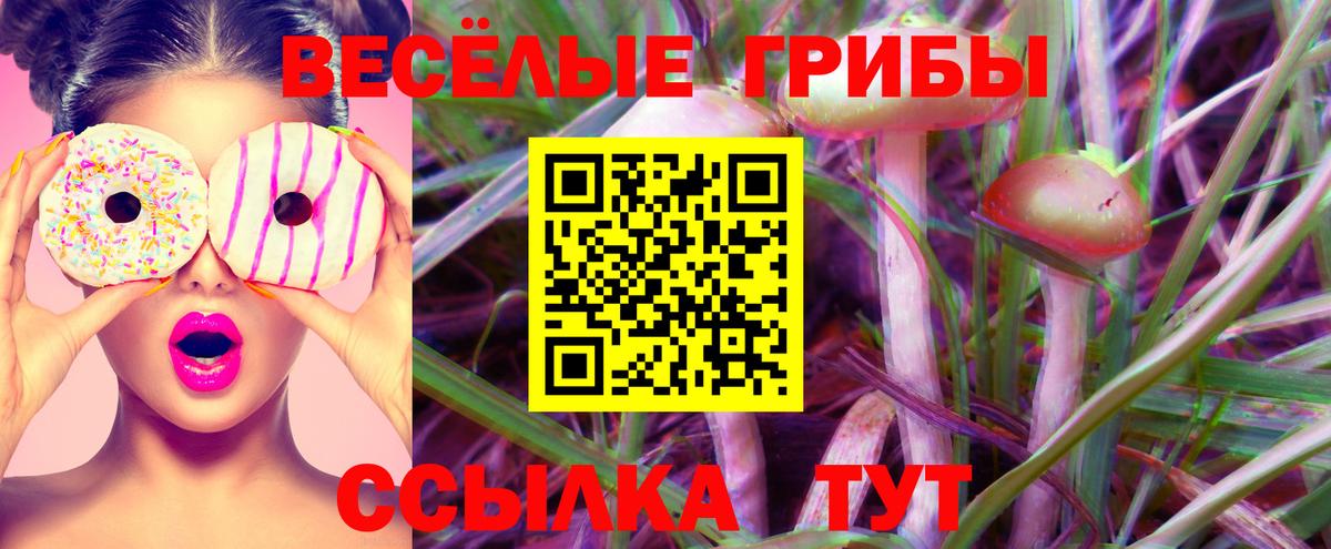 купить   Псилоцибиновые грибы Psilocybe  Вход с VPN  Галлюциногенные грибы Psilocybe  Химки 